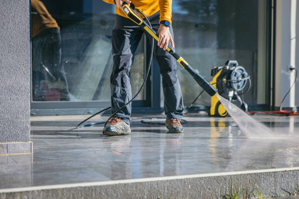 Best Driveway Pressure Washing  in Bridgeville, DE